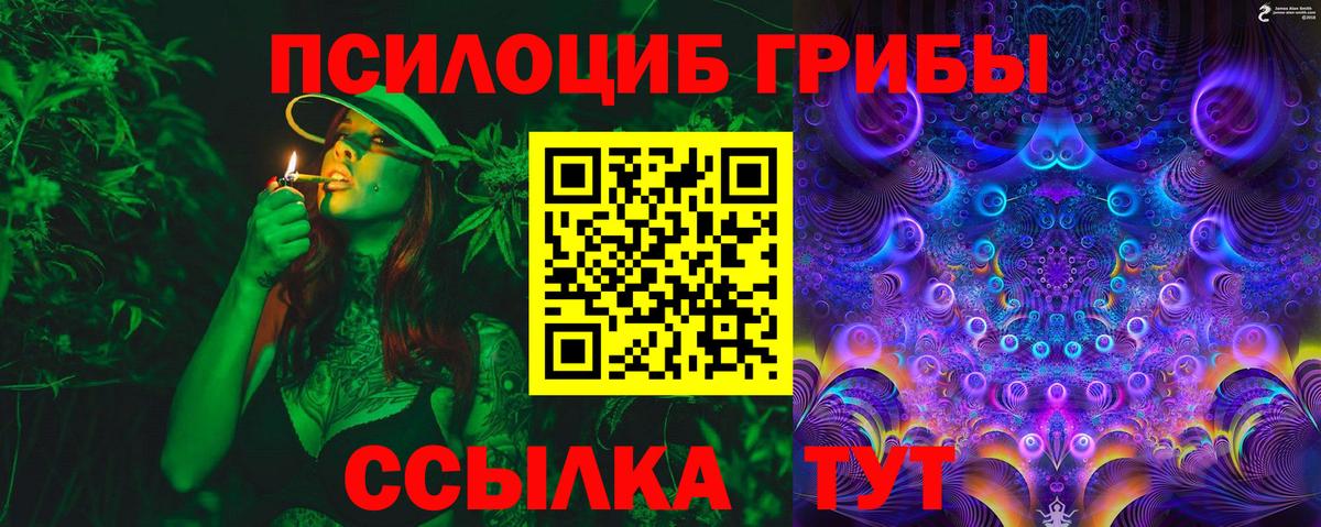 Волжский  Псилоцибиновые грибы MAGIC MUSHROOMS  Вход с VPN  Галлюциногенные грибы прущие грибы 