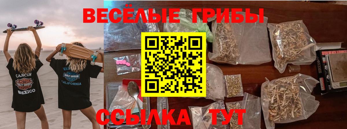 Псилоцибиновые грибы MAGIC MUSHROOMS Волжский